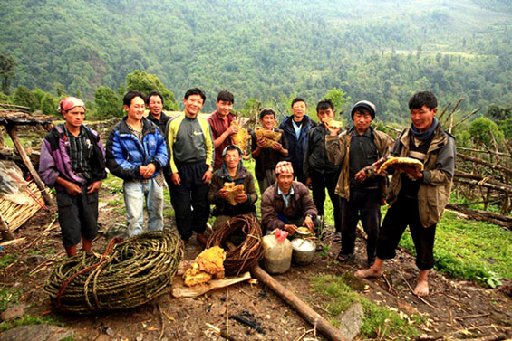 Непалските ловци на див мед