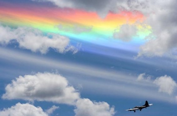 (2) Интересни факти поврзани со виножитото Интересни факти поврзани со виножитото