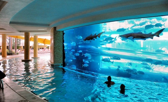 Застрашувачки тобогани низ аквариум со ајкули