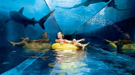 Застрашувачки тобогани низ аквариум со ајкули