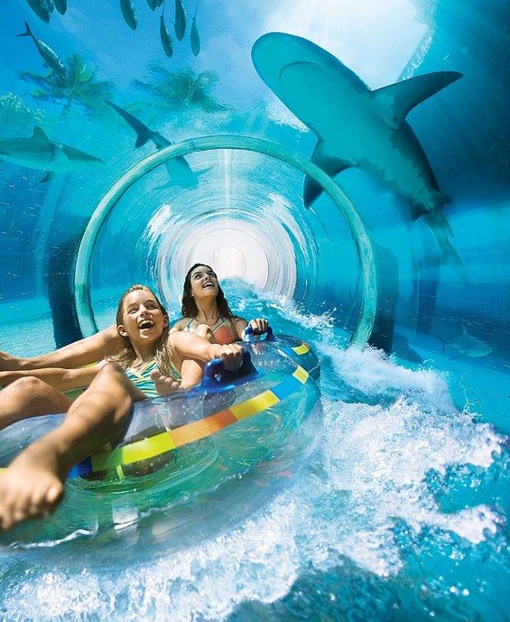 Застрашувачки тобогани низ аквариум со ајкули