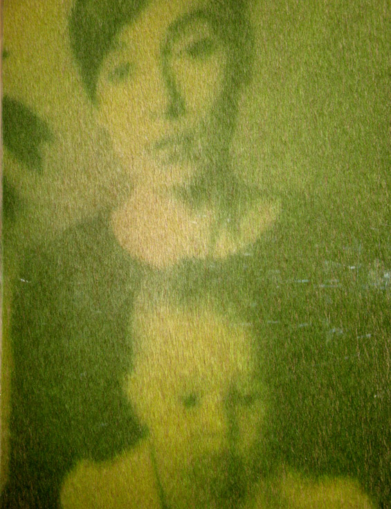 Еко уметност: портрети од вистинска трева