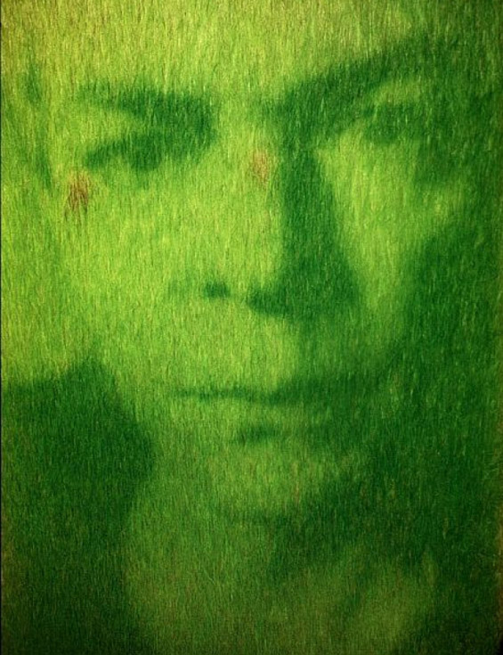 Еко уметност: портрети од вистинска трева