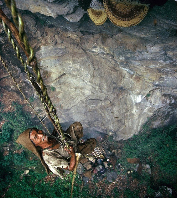 (9) Непалските ловци на див мед Непалските ловци на див мед