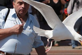 Фотографии направени во вистински момент