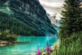 Канада во досега невидено светло