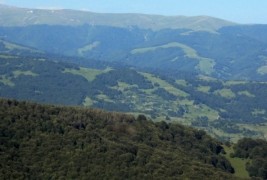 Пониква - планински бисер на Осогово