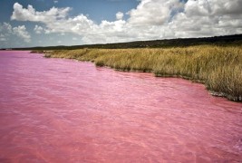 Розовото езеро Ретба
