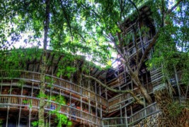 Свештеничката куќа на дрво