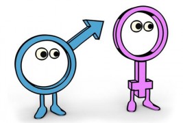 Женски vs. машки лаги и нивното значење