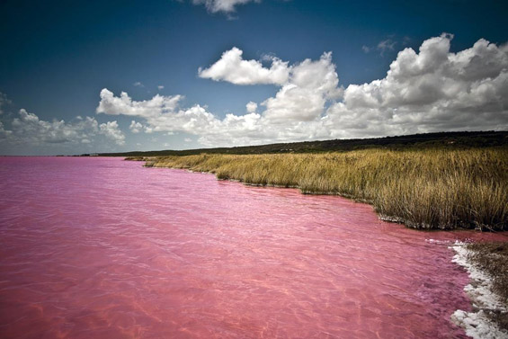 Розовото езеро Ретба