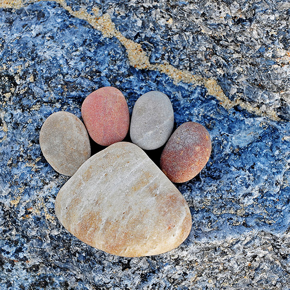 Стапалки составени од камчиња