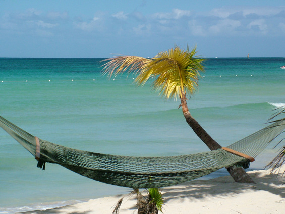 Факти и фотографии од тропскиот рај Јамајка