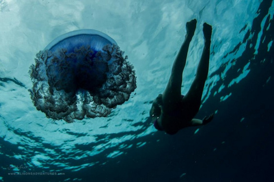 Волшебни подводни фотографии