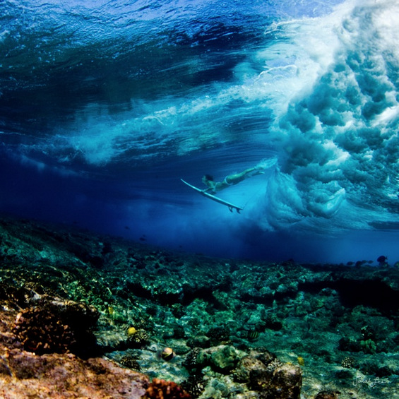 Волшебни подводни фотографии