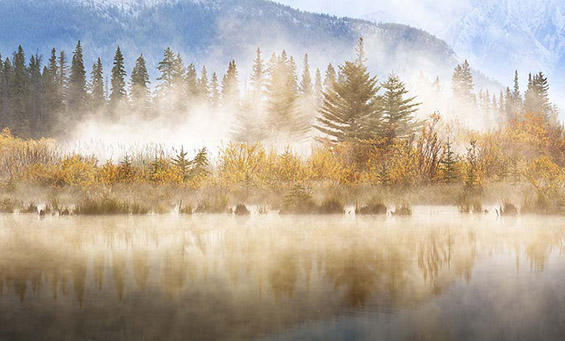 Канада во досега невидено светло