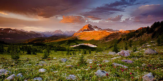 Канада во досега невидено светло