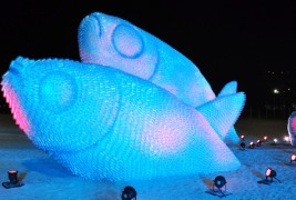 Прекрасни огромни риби од пластични шишиња