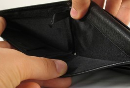 Каков вид плата земате вие?