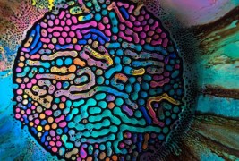 Колоритни течни мозаици