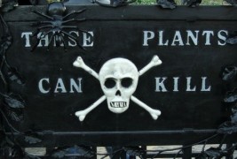 Најсмртоносната градина во светот