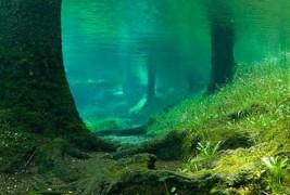 Парк на Алпите, што на лето станува прекрасно езеро