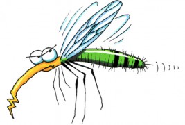 Потполно природни начини за лечење на убод од комарец