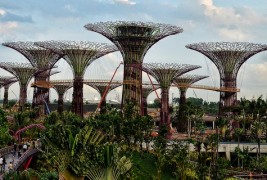 Супердрвјата во Сингапур