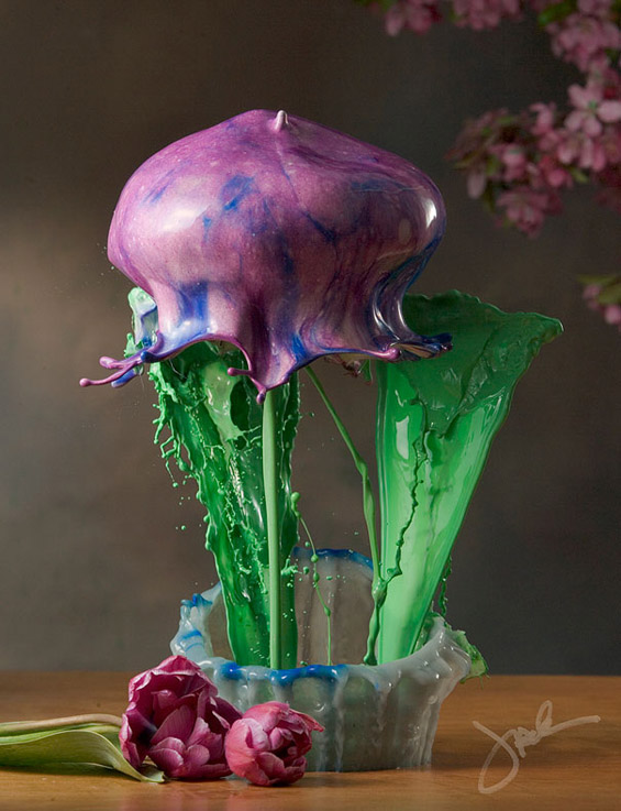 (2) Ликвидни цвеќиња „замрзнати“ во времето Ликвидни цвеќиња „замрзнати“ во времето