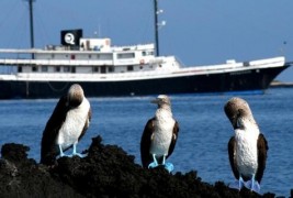 Живиот свет на Галапагос