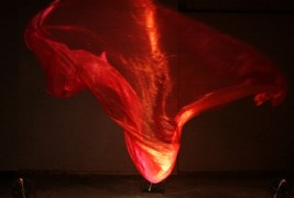 Магичен танц кој ќе ве хипнотизира