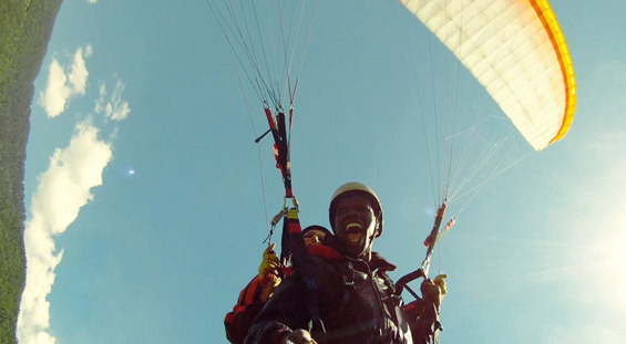 Недофатливите (The Intouchables)