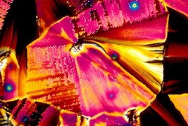 Алкохолот под микроскоп