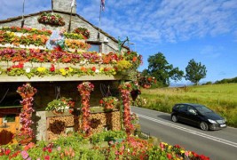 Брачен пар 26 години ја прекрива куќата со цвеќиња