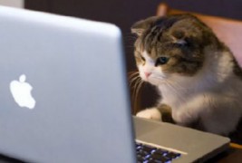 И за животните почна учебната година