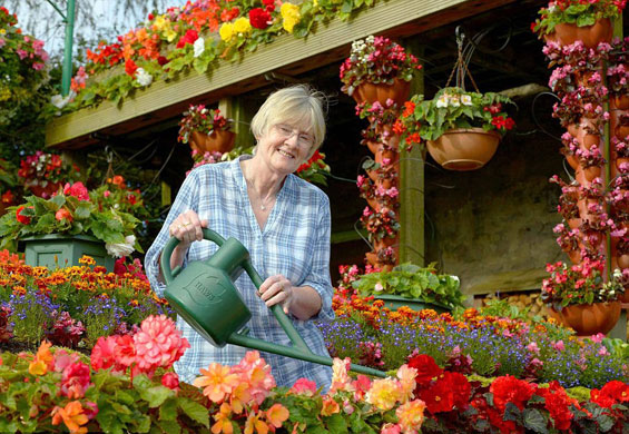 Брачен пар 26 години ја прекрива куќата со цвеќиња