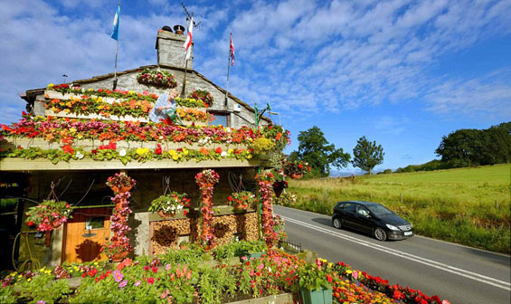 Брачен пар 26 години ја прекрива куќата со цвеќиња