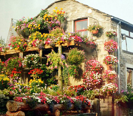 Брачен пар 26 години ја прекрива куќата со цвеќиња