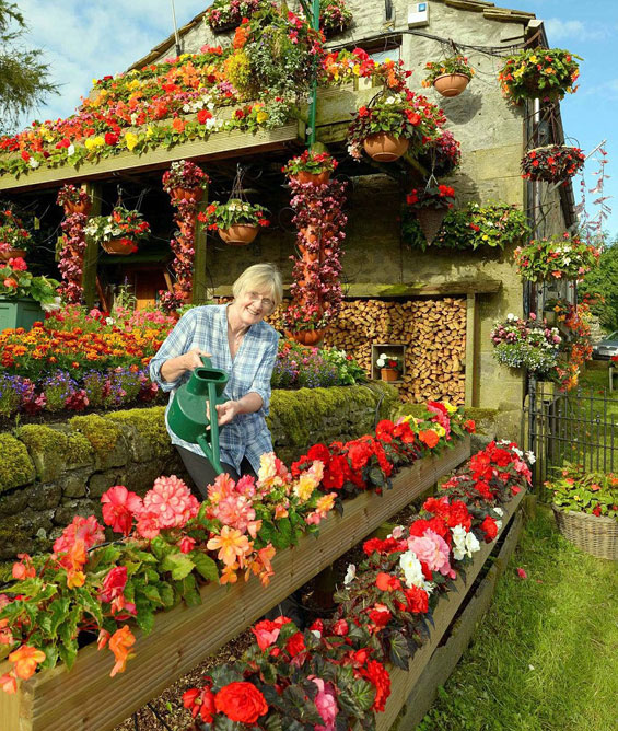 (5) Брачен пар 26 години ја прекрива куќата со цвеќиња Брачен пар 26 години ја прекрива куќата со цвеќиња