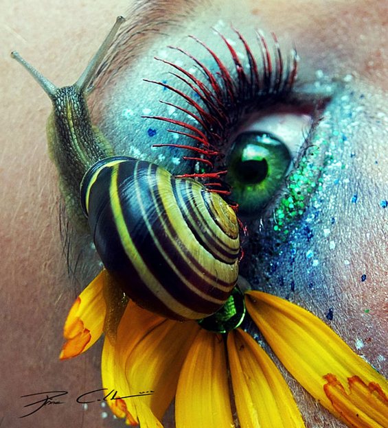 Фантастичен уметнички спој на човечкото око со природата