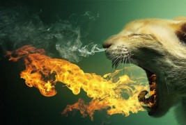 Магичен животински свет креиран во фотошоп