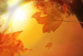 Тајната на живописните есенски зајдисонца