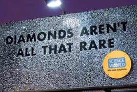 Билборди со фасцинантни научни факти