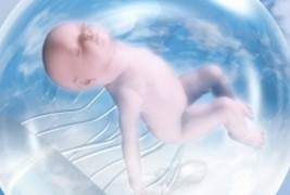 Какви промени ќе му се случат на човекот за 1000 години?