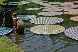 Колоритни водни цвеќиња направени од 65.000 рециклирани цедеа