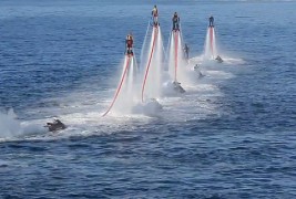 Летајте како птица, пливајте како делфин