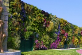 Најголемата вертикална градина во светот