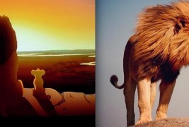 Неодоливите животни од цртаните забележани и во реалноста