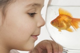 Одговори на смешни прашања кои ги поставуваат дечињата