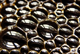 Предвидете ги временските услови со вашата шолја кафе